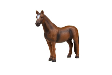brown horse isolated on white background