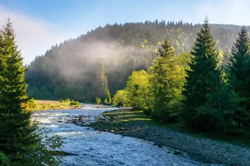 Gordijnen berg rivier onder het bos. prachtig natuurlandschap op een mistige zonsopgang in de lente. wateren van een snelle stroom in ochtendlicht. monding van de rivieren Tereblya en Ozeryanka © Pellinni