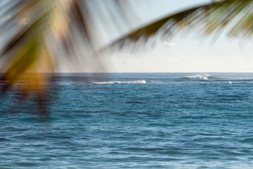 View of the waves of the ocean through the branches of palm trees. Sunny day on the shore of a tropical island.  Horizontal photo.