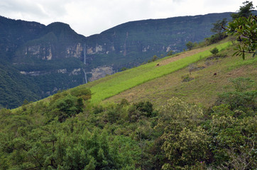 cascade de gocta pérou Chachapoyas