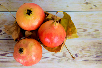 Tres granadas fruta sobre hojas