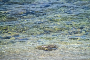 View of the clear waters of the Mediterranean Sea as small ripple waves roll over the rocks and sand under the surface