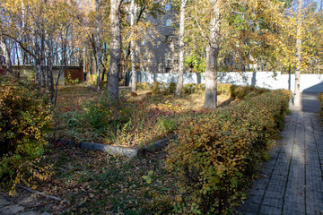 Park area with trees and shrubs in autumn
