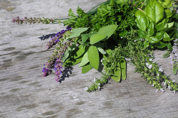 Kräutermix aus den Garten