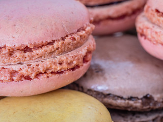 macarons en gros plan
