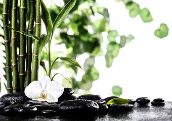 Grean bamboo leaves over zen stones and orchid flower on white background