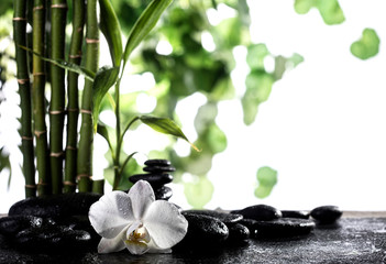 Grean bamboo leaves over zen stones and orchid flower on white background