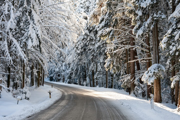 winterliche, verschneite Straße durch den Wald