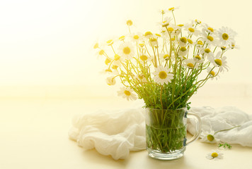 Daisy chamomile flowers in glass jar on white background
