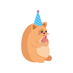 Cat cartoon design, Animal happy birthday celebration decoration and surprise theme Vector illustration