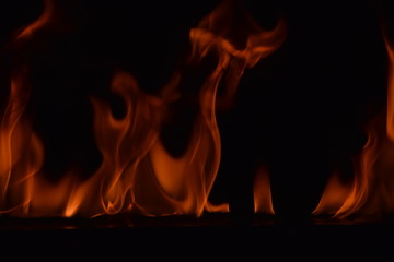 Fototapeta premium Beautiful fire flames on a black background.