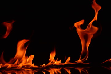 Fototapeta premium Beautiful fire flames on a black background.
