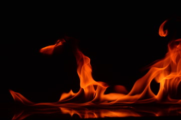 Beautiful fire flames on a black background.