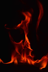 Beautiful fire flames on a black background.
