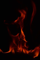 Fototapeta premium Beautiful fire flames on a black background.