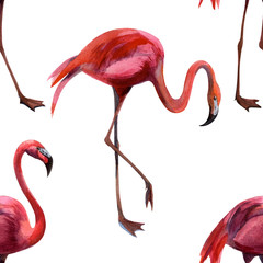Watercolor seamless pattern with flamingo hand drawing decorative background. Print for textile, cloth, wallpaper, scrapbooking