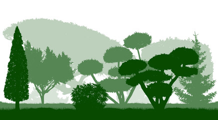 Silhouettes of beautiful ornamental trees in the Botanical garden. Vector illustration.