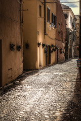 Fototapeta premium Paved alley in old town Alghero