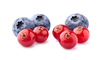 Red currant berries with bluebery on White Background isolated. Ripe berries isolated.