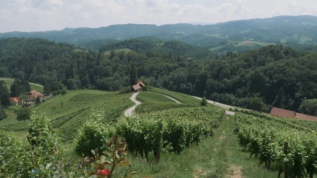 Nice road with a heart shape in Slovenia. Spicnik, Maribor.