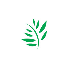 color modern leaf logo design