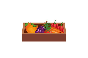 healthy vegetable in wooden box isolated icon vector illustration design