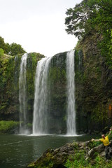 Fototapeta premium Neuseeland Tikipunga Whangarei Falls