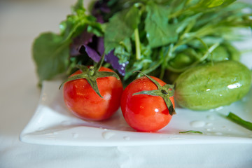 Cucumbers and tomatoes on a white plate. Vegetarian salad with cucumbers, tomatoes . Caviar salad is in the plate. Ingredients: tomato, cucumber, basil, chrysanthemums, strawberries, peas.