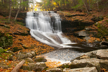 Fototapeta na wymiar Smooth flowing waterfall with fallen leaves on rocks during autumn season