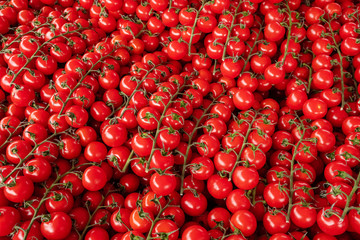 Branches of red cherry tomatoes for sale.