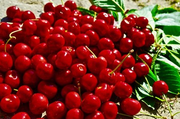 Cherries