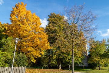 Autumn landscape with multicolored trees in Berching, Bavaria