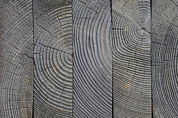 Fototapeta premium aged wooden cut with cracks, gray, texture