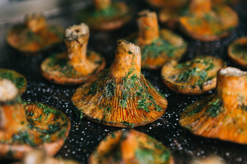 Close-up red pine mushroom at the barbeque. Seasonal food