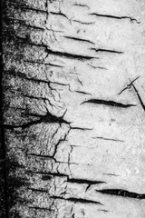 Close up shot of old weathered wooden table