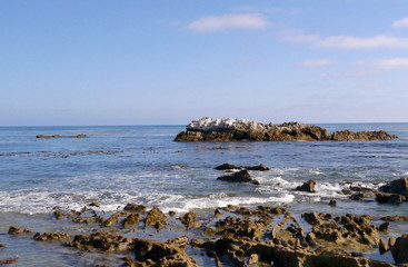 Fototapeta na wymiar Laguna Beach and surrounds