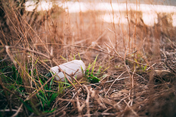An aluminum can of drink in a forest. Plastic contamination. Trash in the forest. Environmental pollution