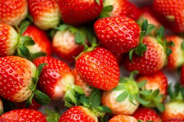 Fresh strawberry