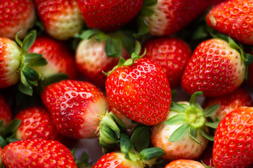 fresh strawberry 