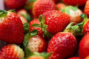 Fresh strawberry