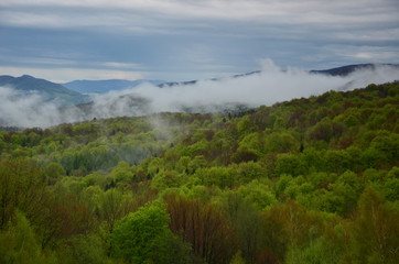 W górach © Marzena