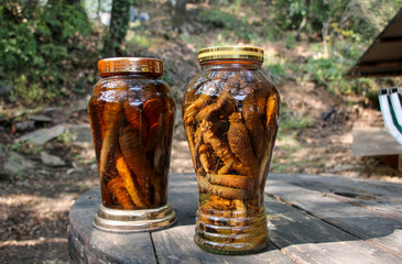 Ginseng root sale in glass jar in the street market in South Korea