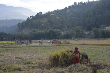 Women working in Nepal