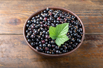 black currant in a plate
