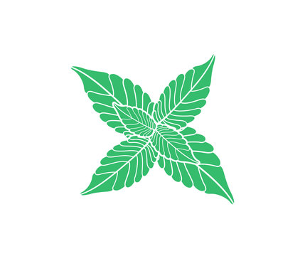 green leaves on white background clip art preview