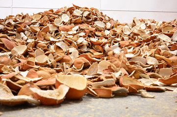 dried orange peel background