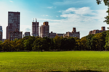 Fototapeta premium hattan Skyscrapers view from central park