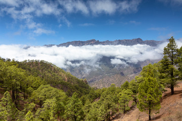 Famous caldera of La Palma