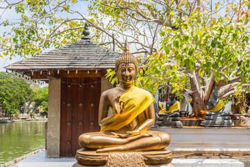 statue of buddha in Sri Lanka