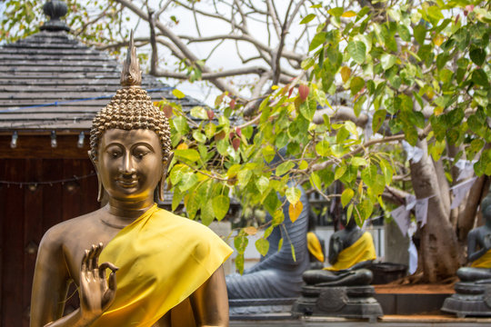 statue of buddha in Sri Lanka